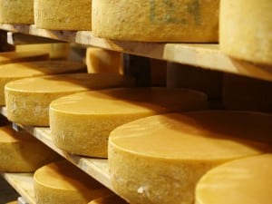 Meules de fromage dans une cave d'affinage