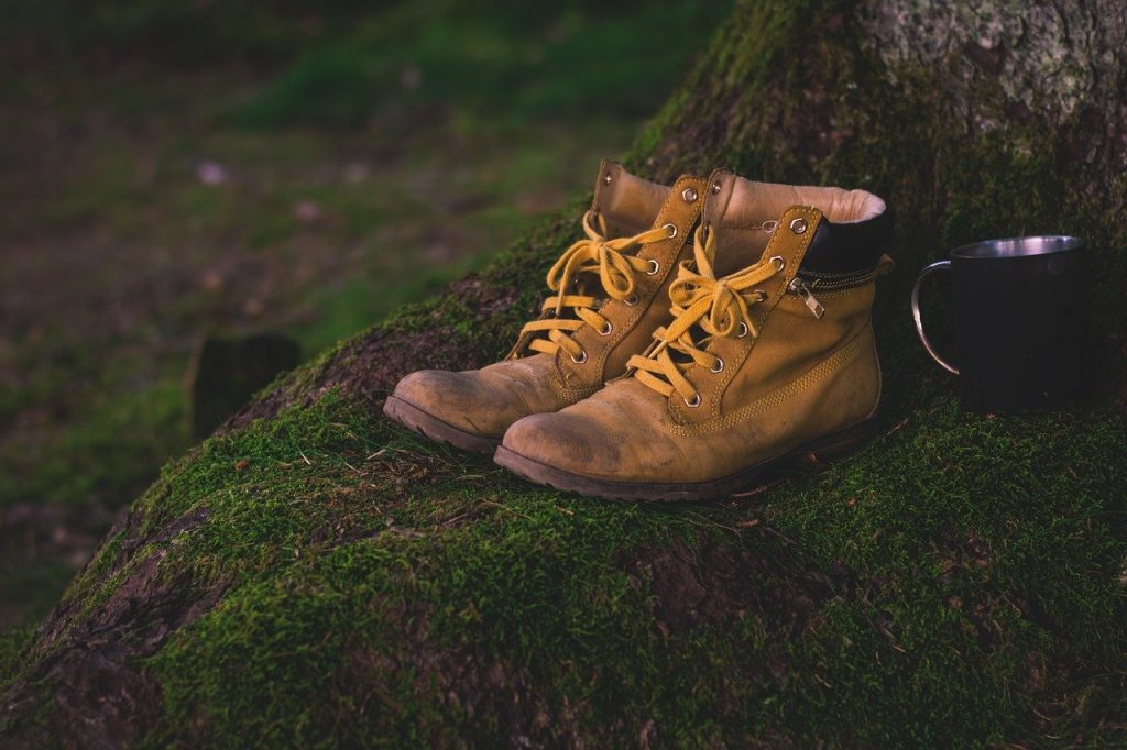 chaussures de randonnée posées au pied d'un arbre
