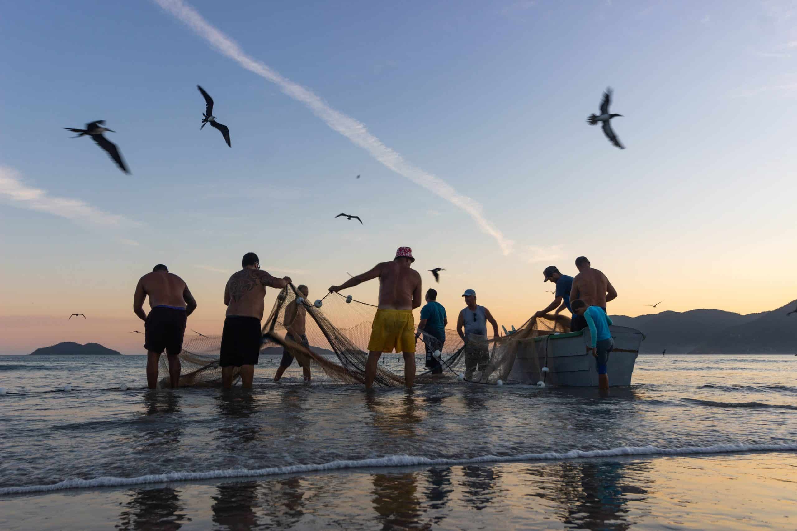 Agenda du pêcheur : quand pêcher quel poisson en rivière ?