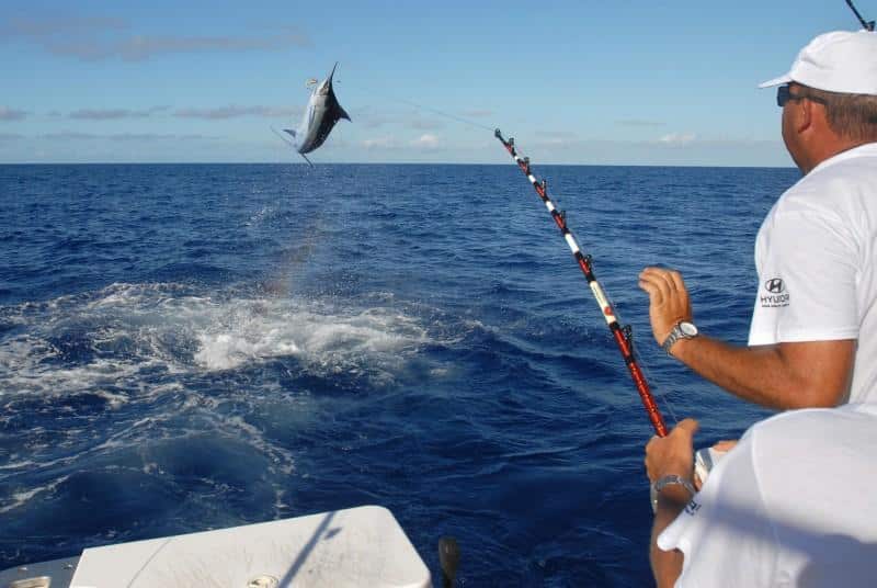 Pêche et tourisme : deux passions qui vont de pair