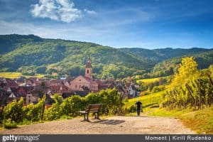 alsace-vignobles-route-des-vins-paysage-randonnée-promenade