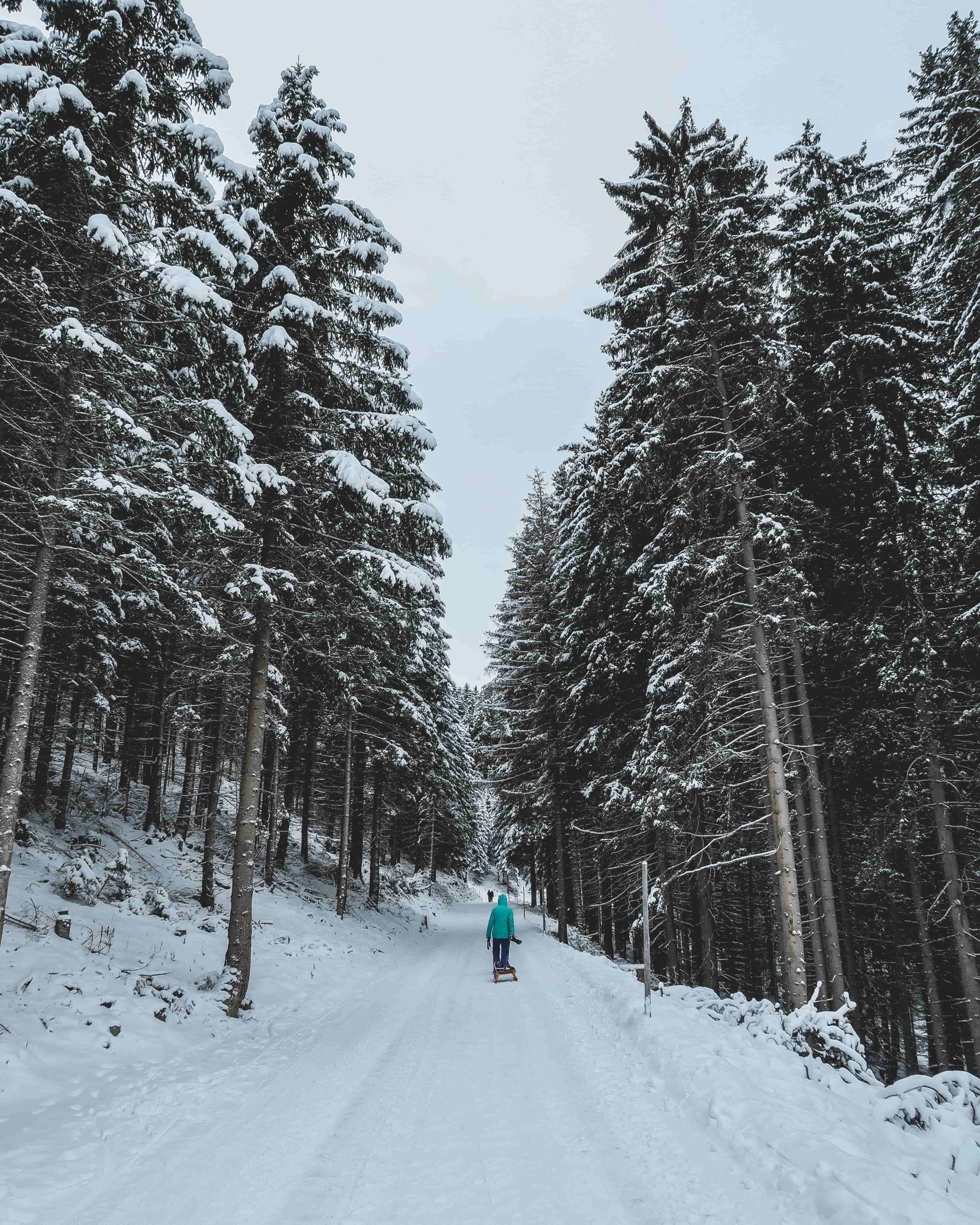 Des activités insolites à Avoriaz: pour des vacances d’hiver réussies !