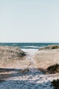 Dunes et océan