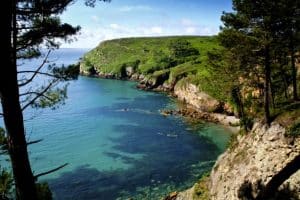 Vue sur l'océan avec arbres au premier plan