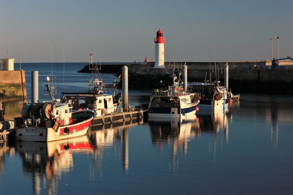 5 activités originales à faire en Charentes avec des enfants