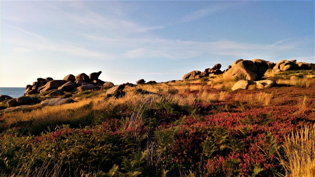 Côte de Granit Rose en Bretagne