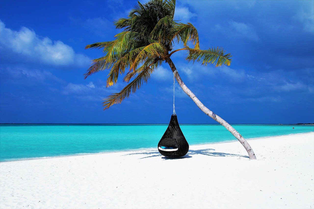 fauteuil accroché à un cocotier sur une plage