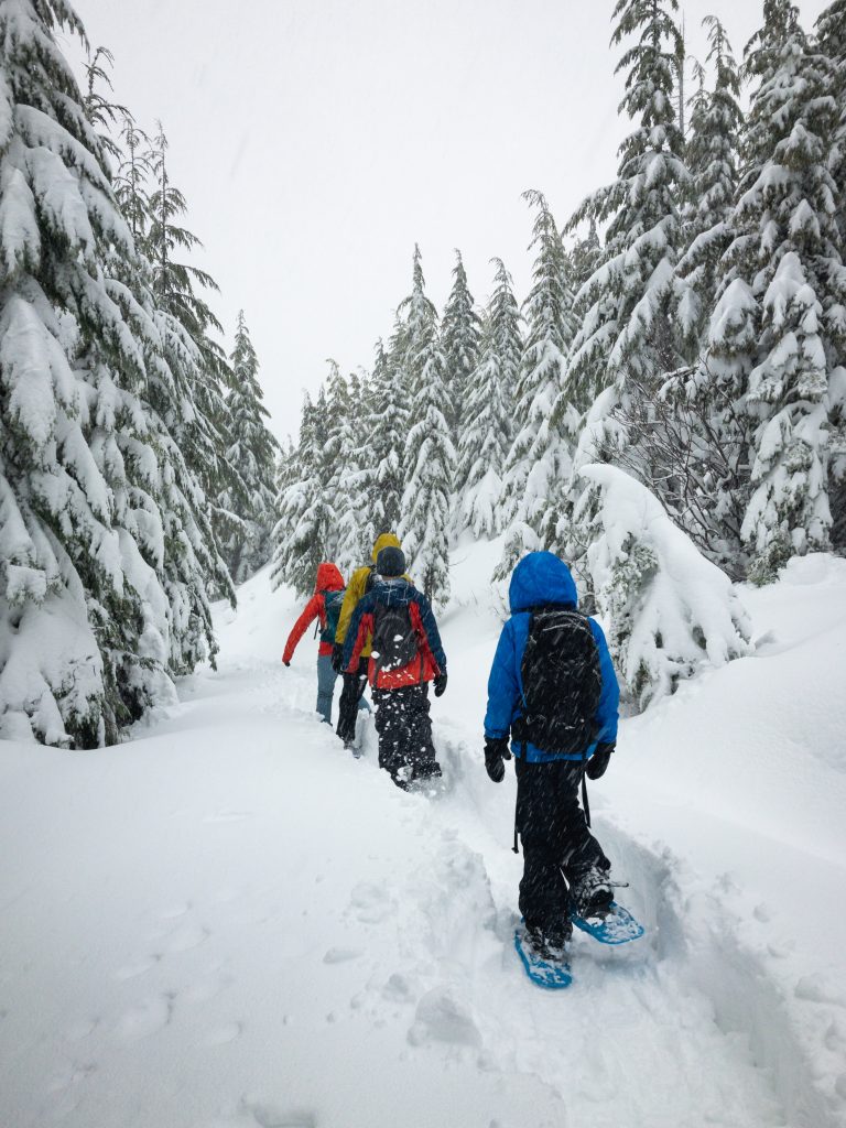 raquettes à la neige