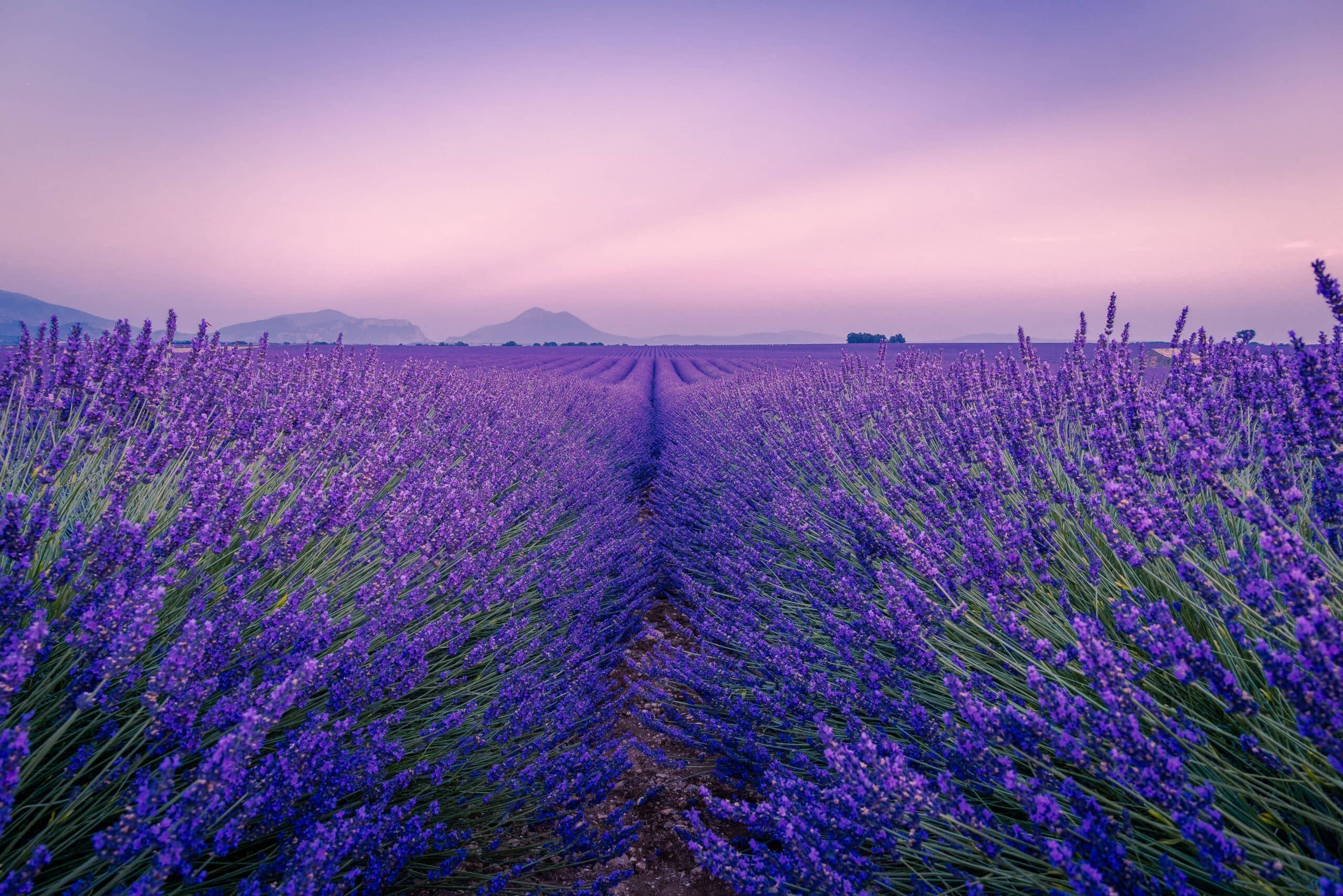 Top 5 des lieux insolites en Provence