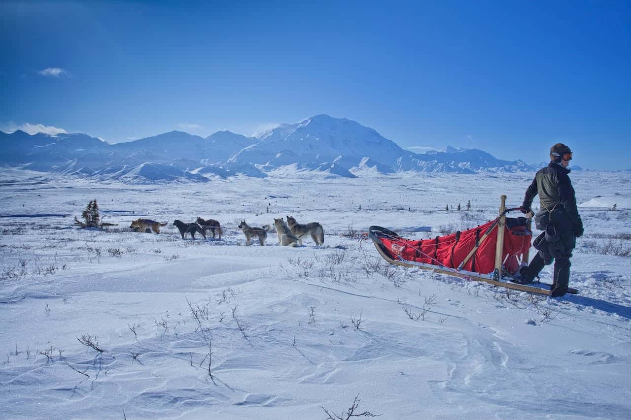 Les activités insolites à faire en montagne